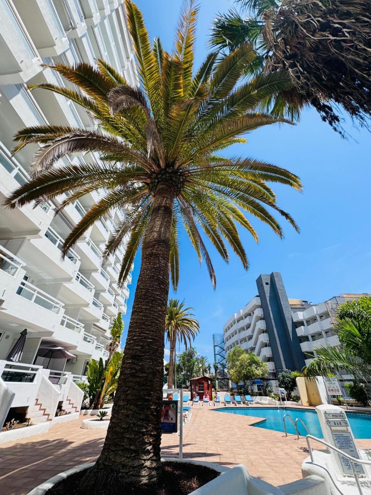 Jameo De Agua, Las Americas Studio Sea View Playa Fanabe Ngoại thất bức ảnh