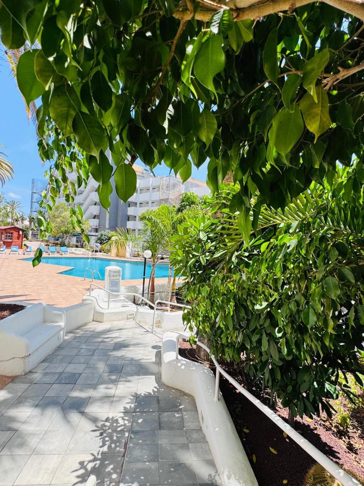 Jameo De Agua, Las Americas Studio Sea View Playa Fanabe Ngoại thất bức ảnh